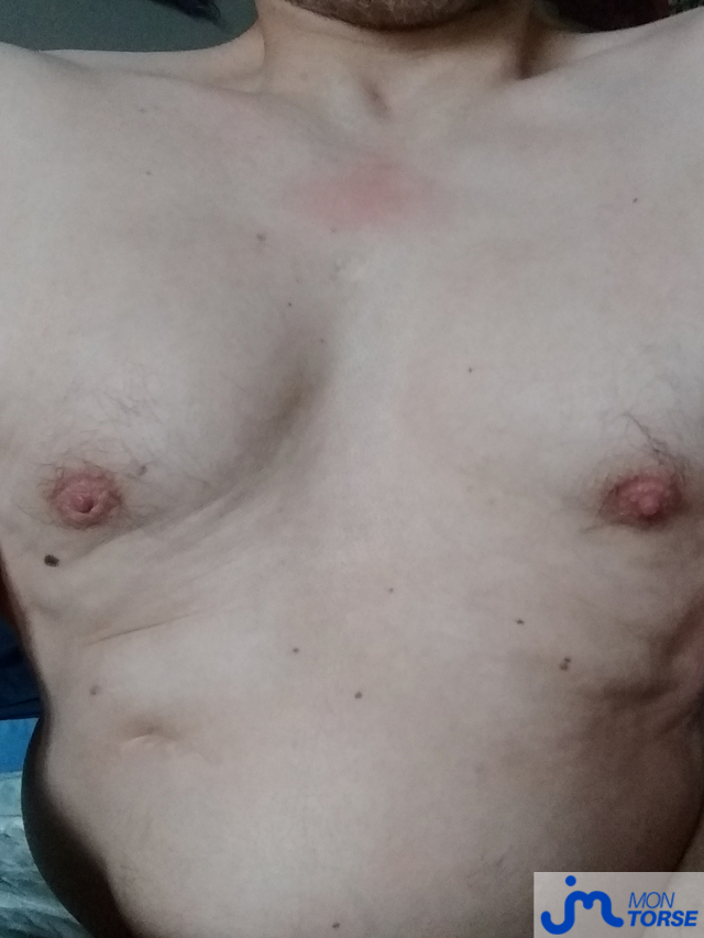 torses de oliv62