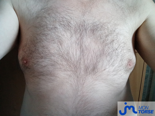 torses de eric21