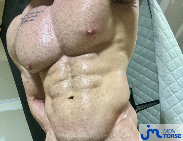 Photos de torses : Post gym 