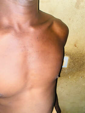Photos de torses : Un corps solitaire 