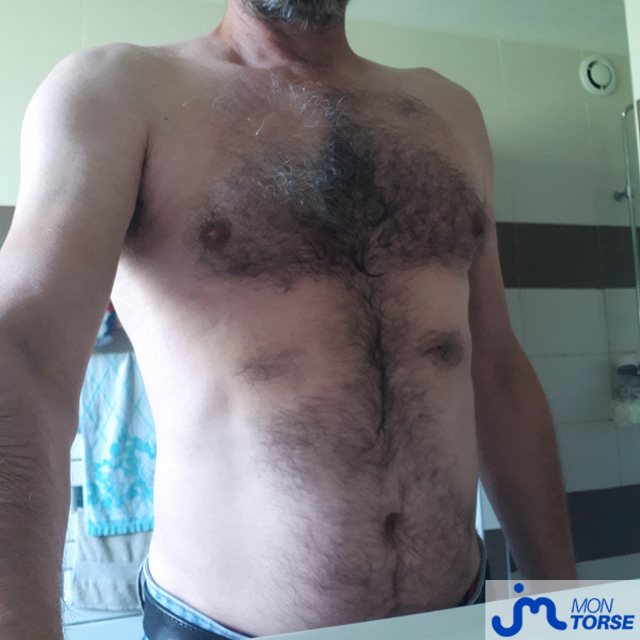 Photos de torses : Torse poilu