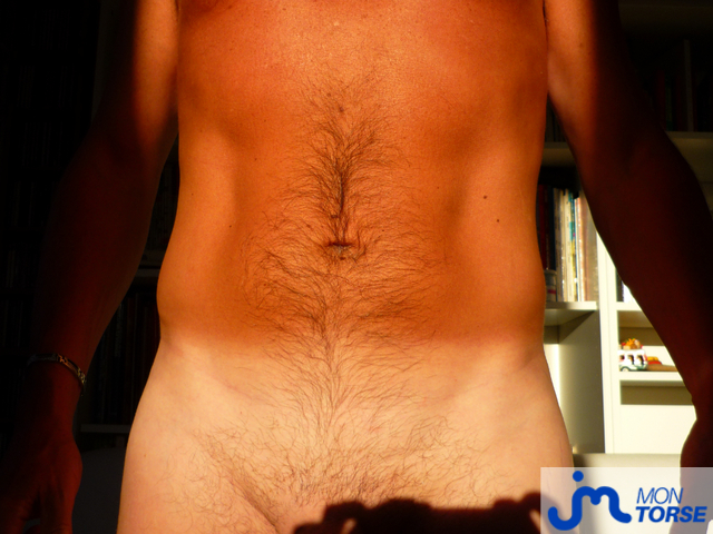 Photos de torses : Torse