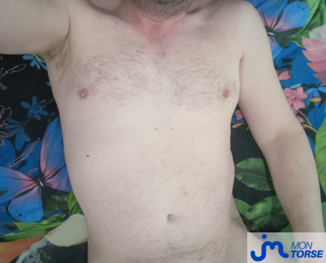 Photos de torses : mon torse2