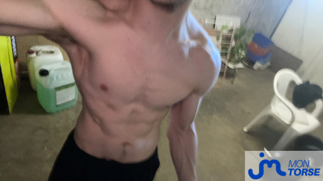 torses de ChibraxEnFeu 