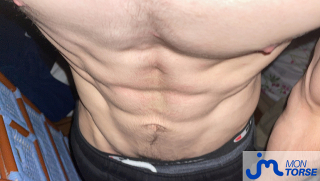 torses de ChibraxEnFeu 