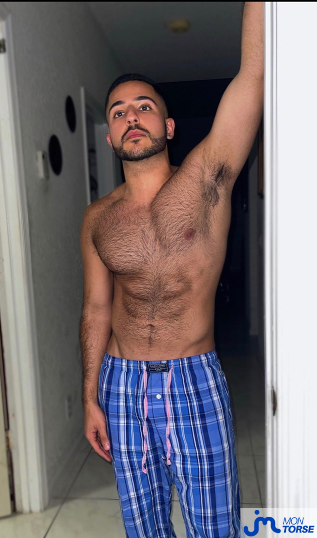 torses de eliazahlawi