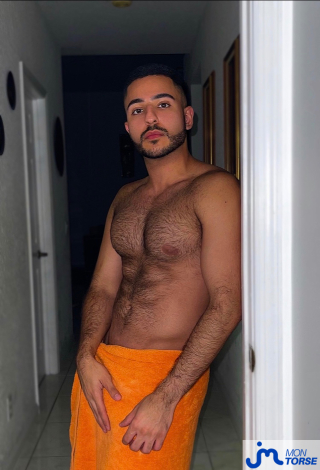 torses de eliazahlawi