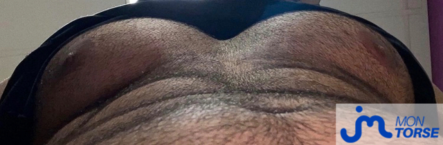 torses de eliazahlawi