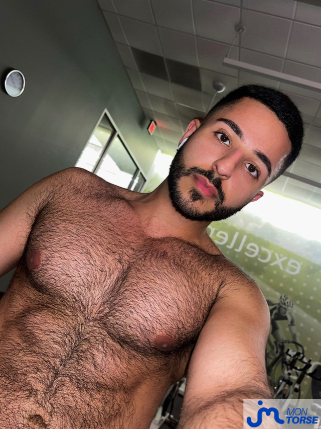 torses de eliazahlawi