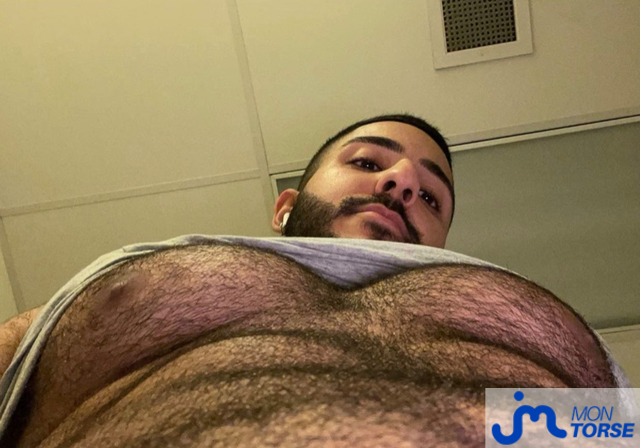 torses de eliazahlawi