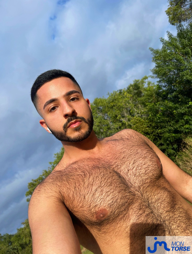 torses de eliazahlawi