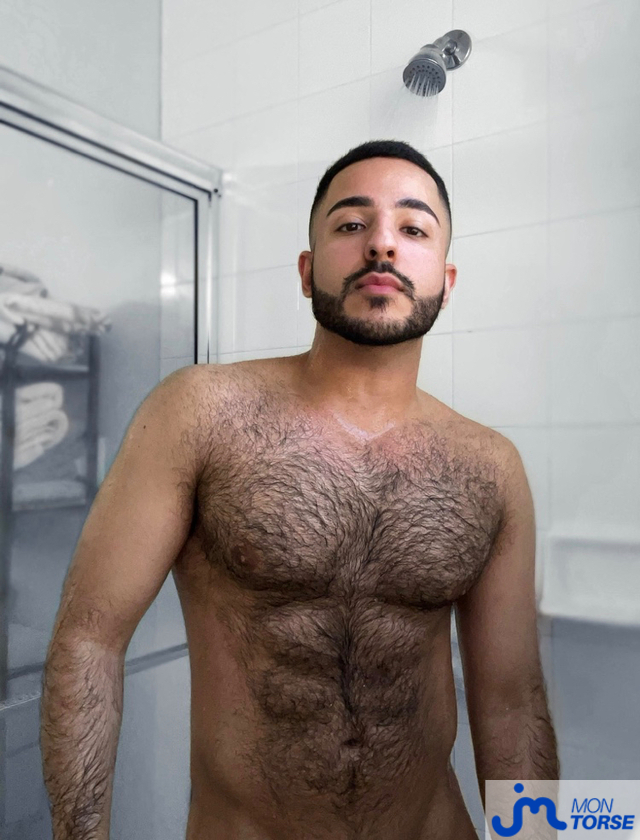 torses de eliazahlawi