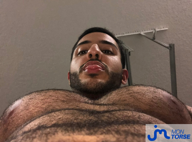 torses de eliazahlawi