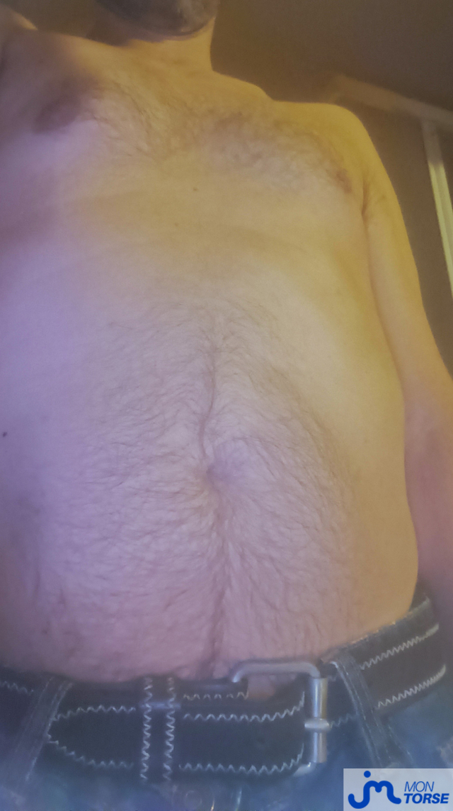 torses de stevo49100