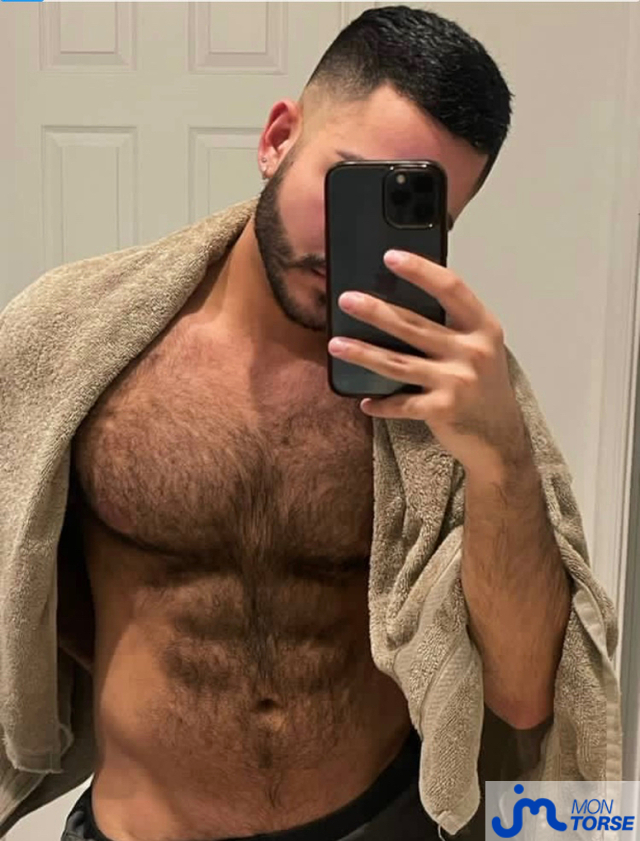 torses de eliazahlawi