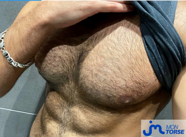 torses de eliazahlawi