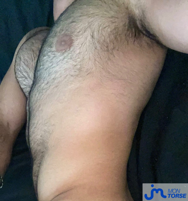 torses de eliazahlawi