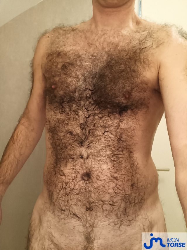 Photos de torses : Mon torse 