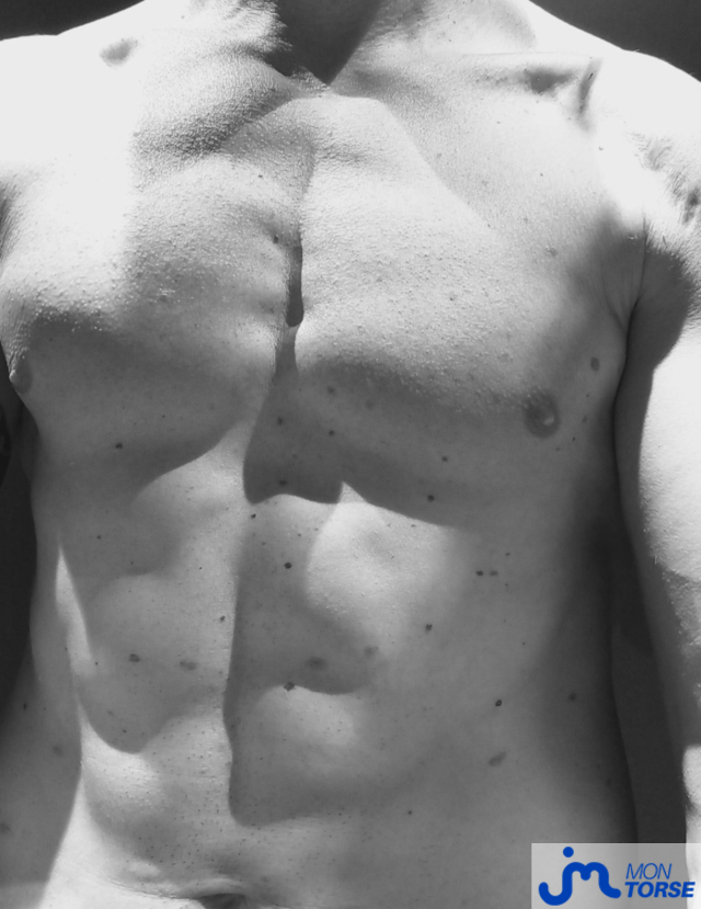 Photos de torses : Last torse 2025 