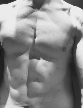 Photos de torses : Last torse 2025 