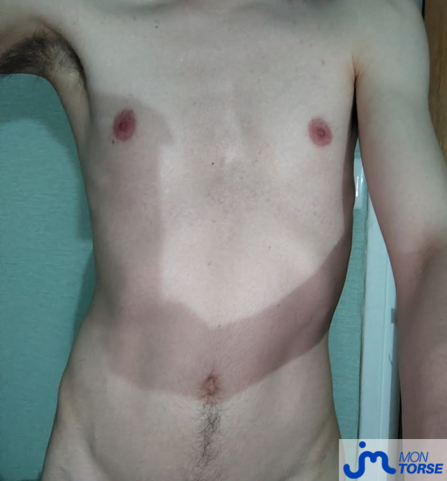 torses de Louis0pieux