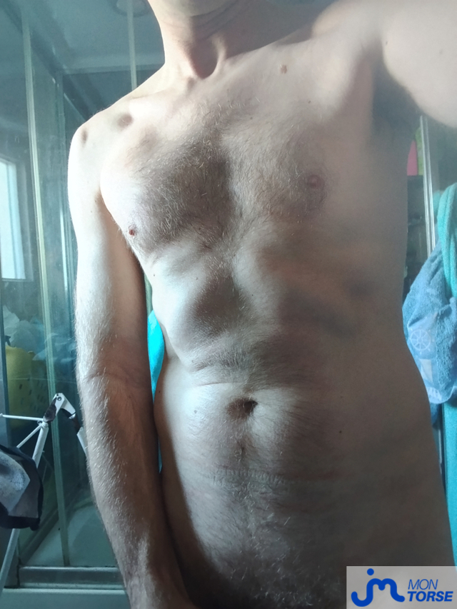 torses de trounormand