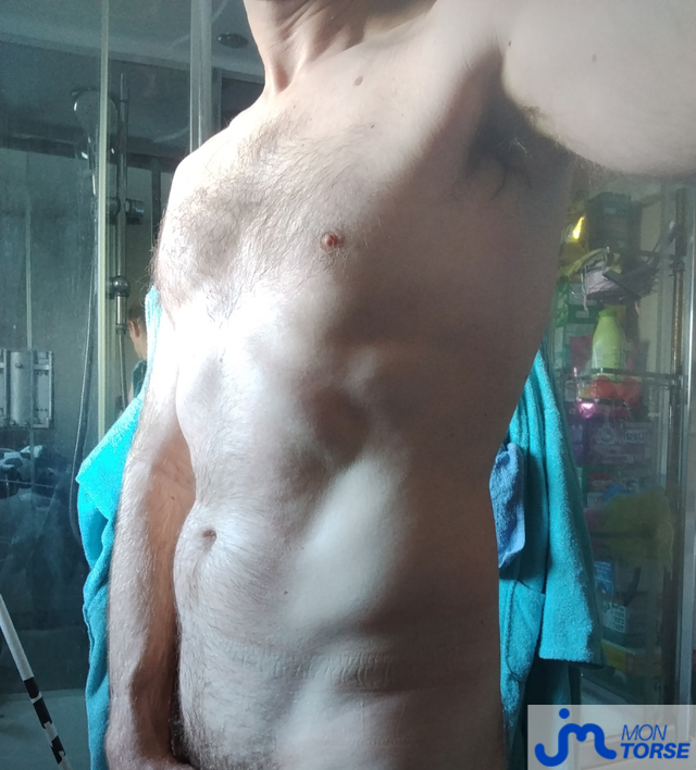 torses de trounormand