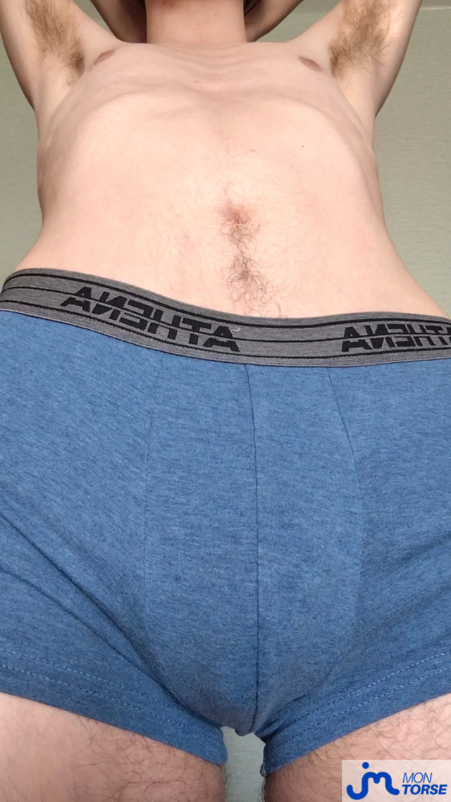 torses de Louis0pieux