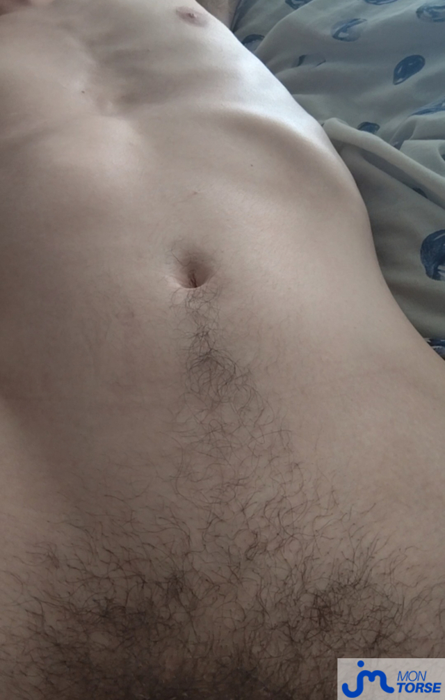 torses de Louis0pieux