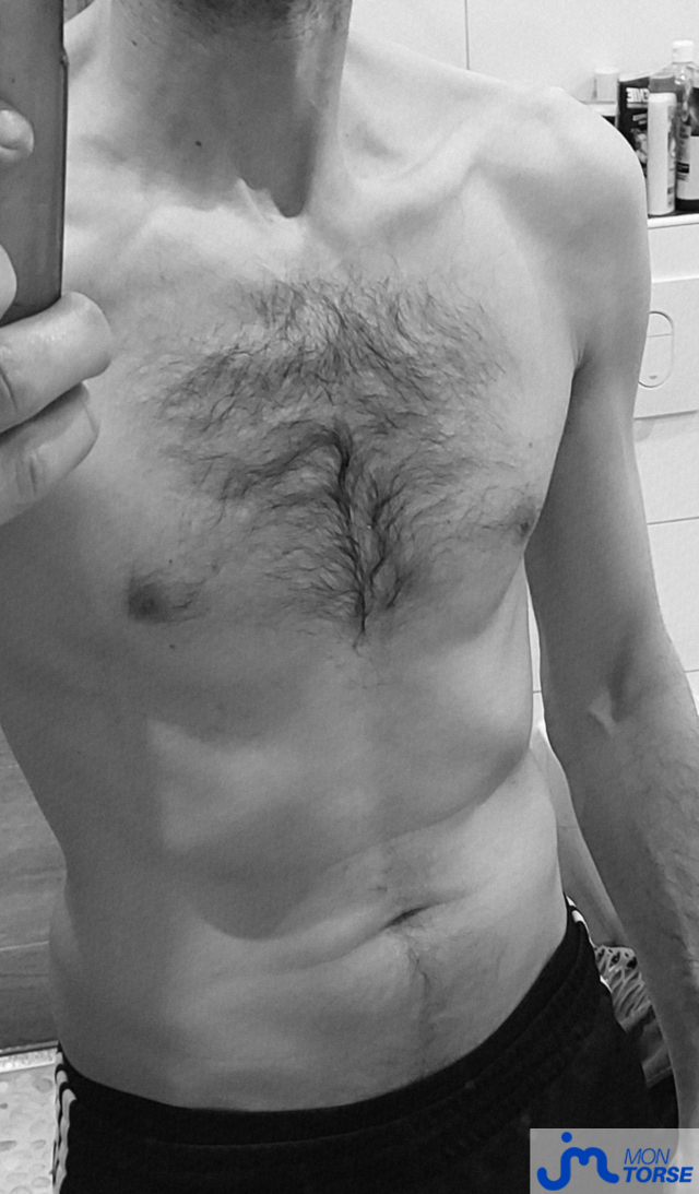 torses de Controleur67000