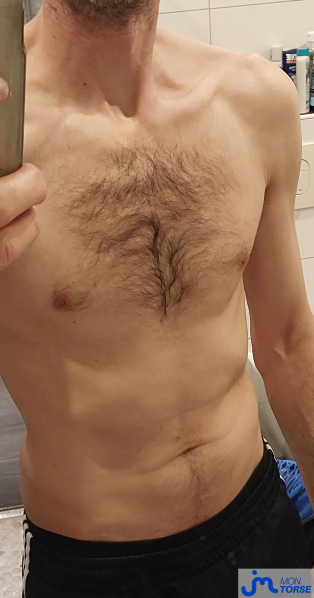 torses de Controleur67000