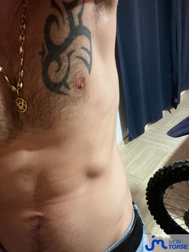 torses de Cisouisback