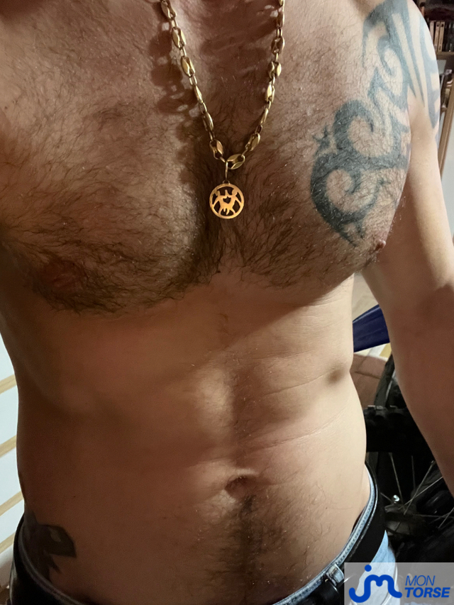 torses de Cisouisback