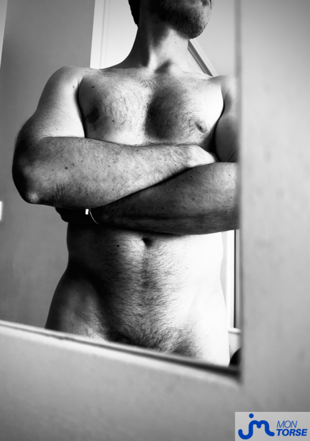 torses de Lutranonyma