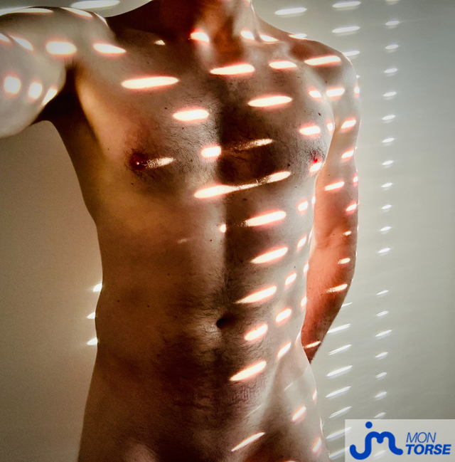 torses de Lutranonyma