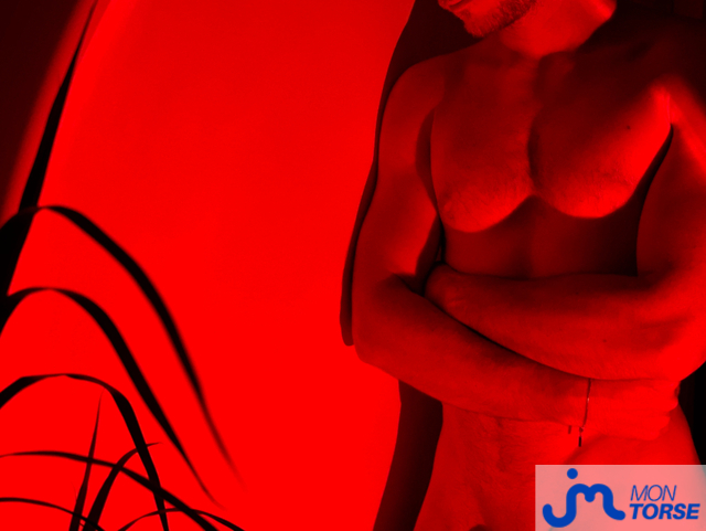 torses de Lutranonyma