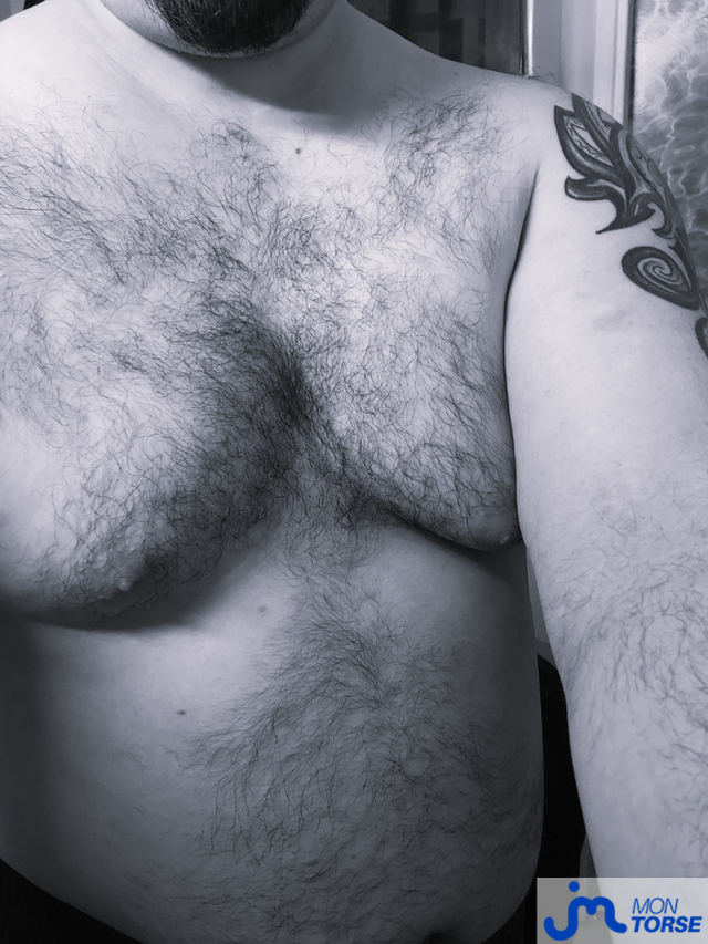 torses de Jeanmarc01