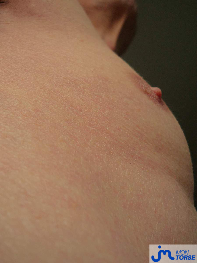 torses de Bel Ami 58