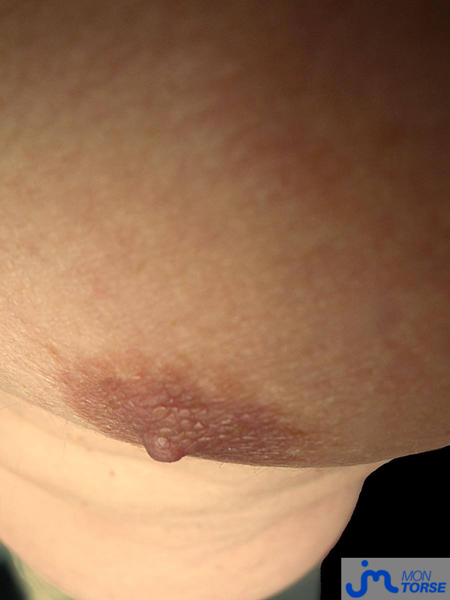 torses de Bel Ami 58