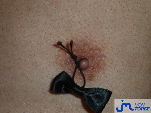 torses de Jacquou82