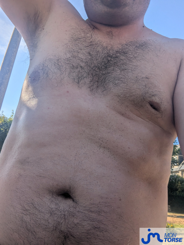 Photos de torses : Mon torse poilu