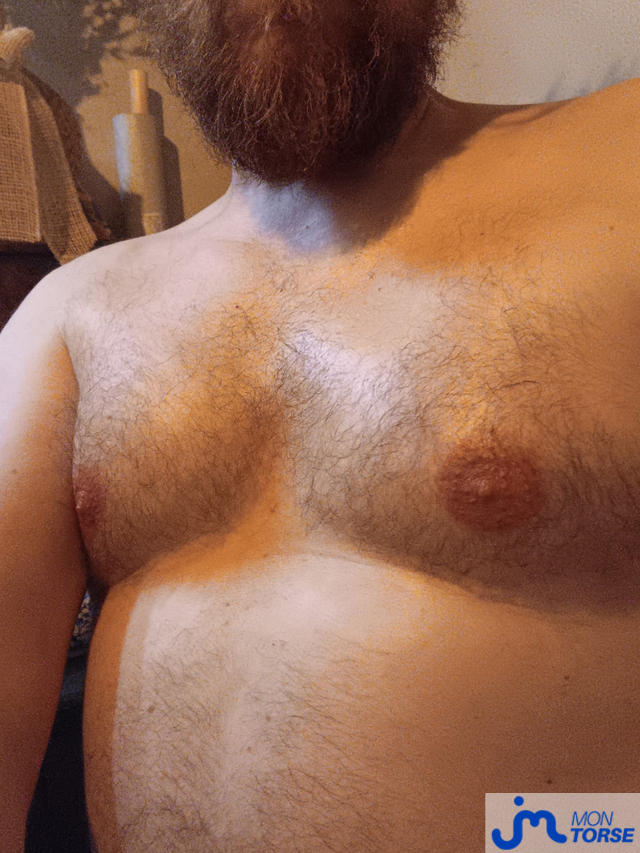 torses de Jossex72