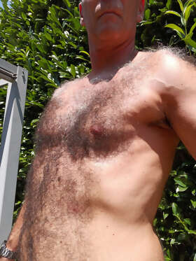 Photos de torses : Retour de mon torse poilu 