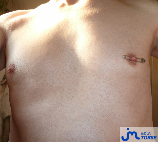 torses de Jacquou82