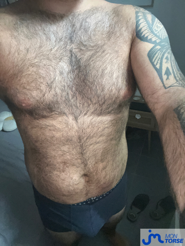 torses de Virilbear 