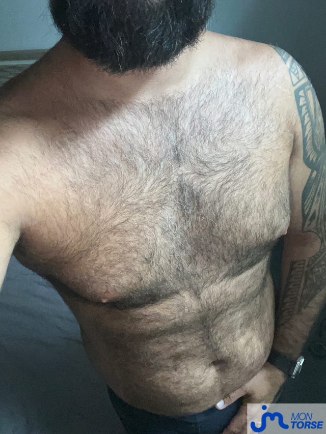 torses de Virilbear 