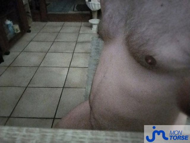 torses de Coquin 0990
