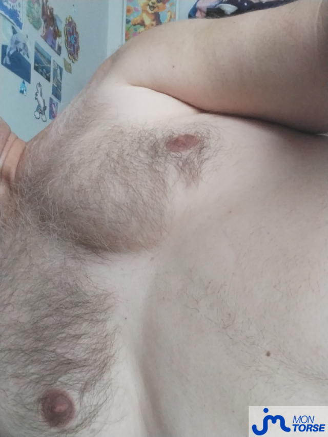 torses de Coquin 0990