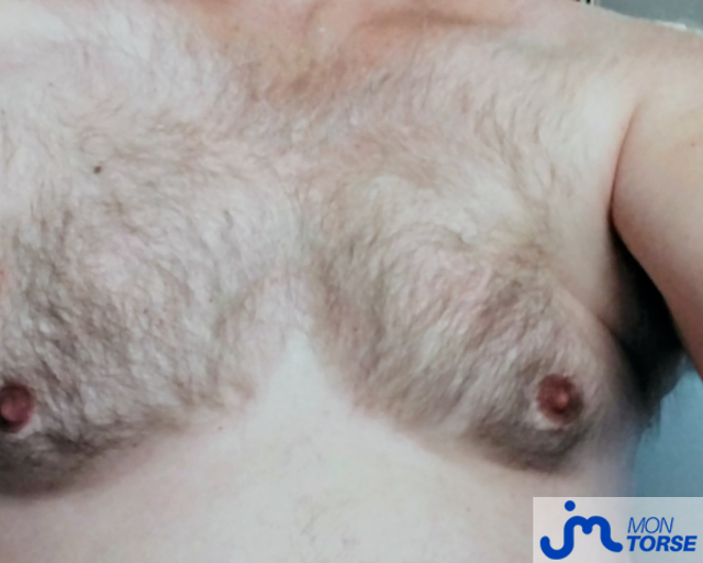 torses de Coquin 0990