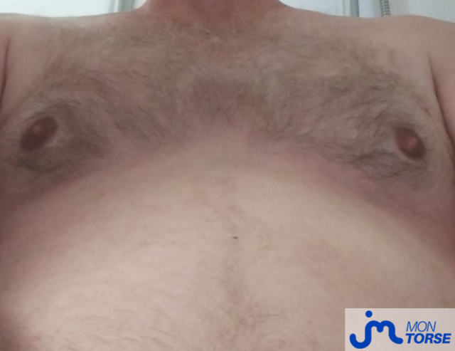 torses de Coquin 0990